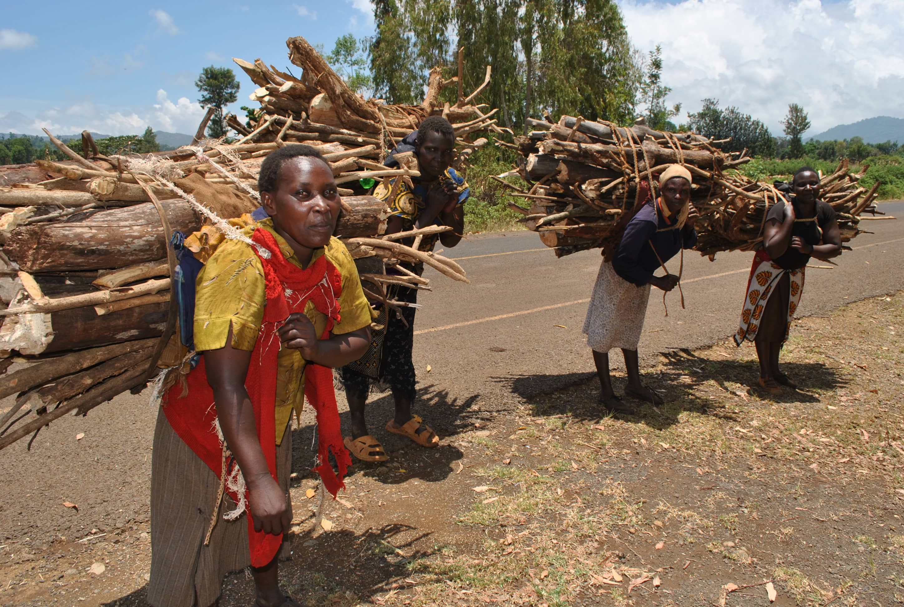  woman Carrying firewood